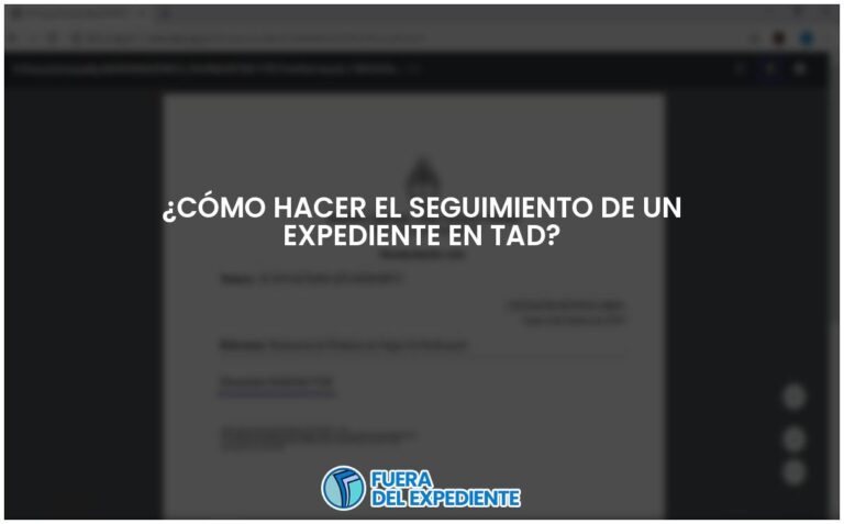 Guía para rastrear un expediente en TAD de manera eficiente