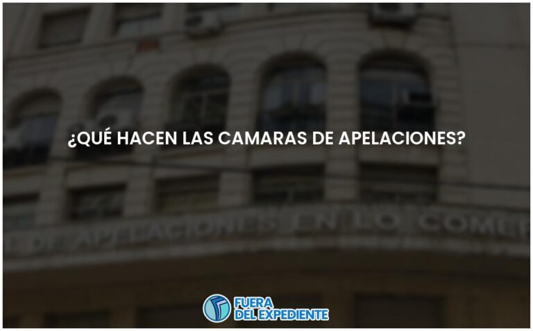 Funciones de las cámaras de Apelaciones: todo lo que debes saber.
