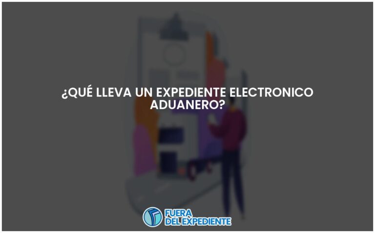 Contenido del expediente electrónico aduanero: Todo lo que debes saber